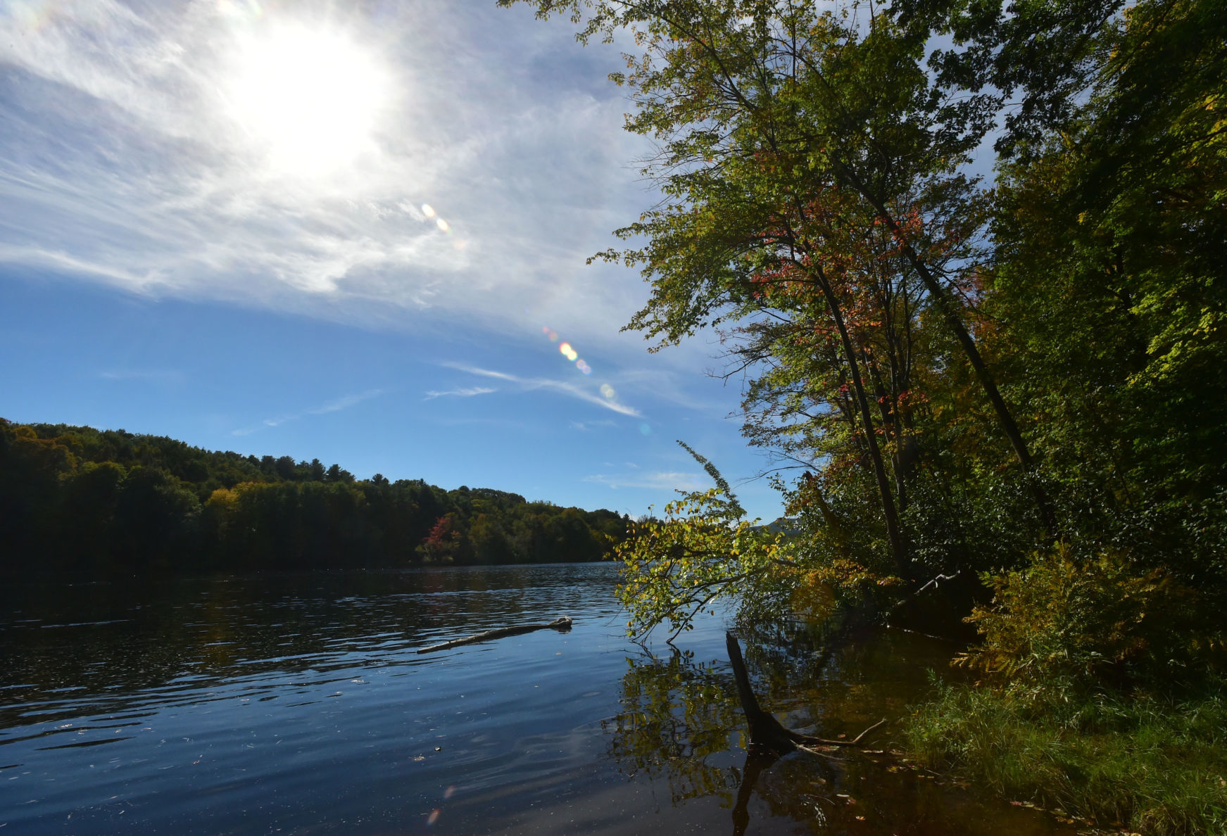 Fall foliage